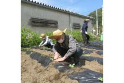 特別養護老人ホーム美杉の郷 の 看護師・准看護師（正社員）