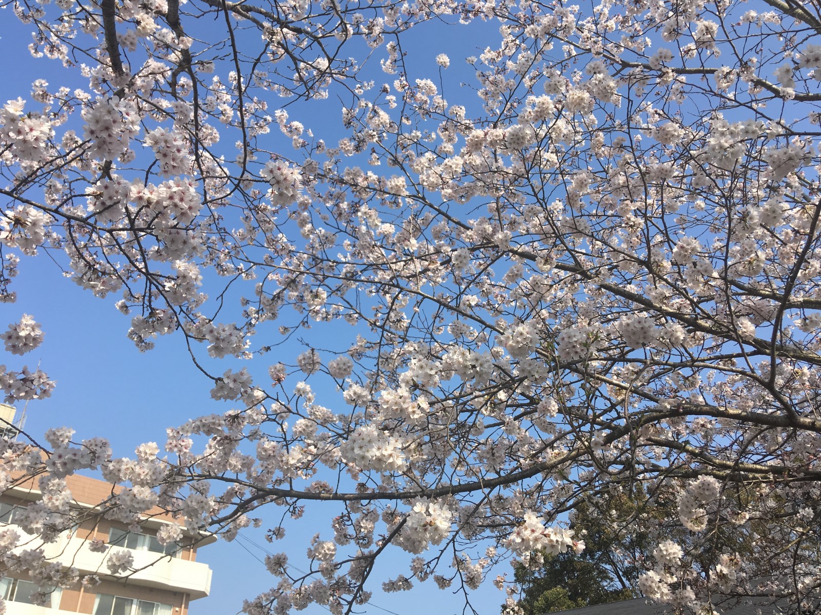 特別養護老人ホーム海の介護福祉士（正社員）