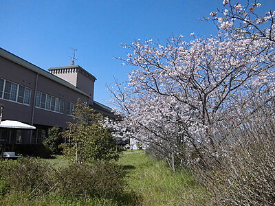 特別養護老人ホーム上板あおば苑 の 介護福祉士（正社員）